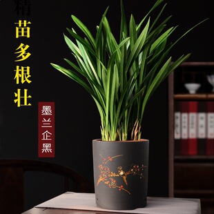 �m������ī�m�����ɰ���m���҃��ļ����Bֲ��͏d�k�������F�辰