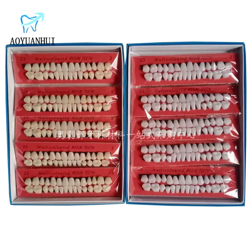 28 пластиковых зубов для студентов, учебные материалы для стоматологии, форма для зубных протезов