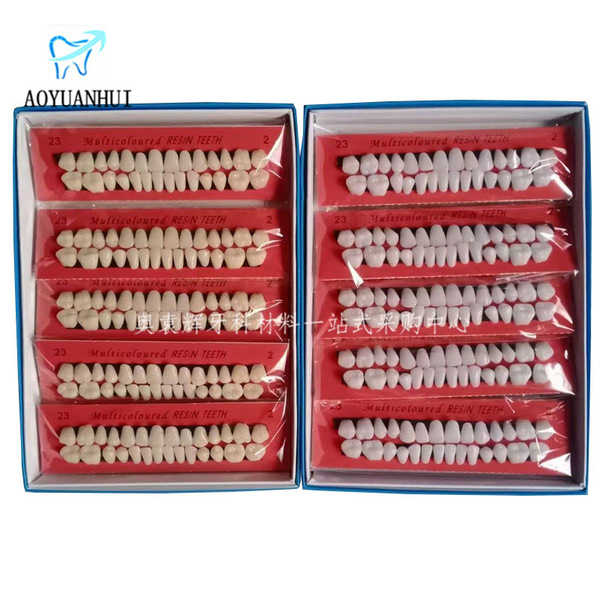 28pcs 학생 연습 치아 플라스틱 치과 구강 재료 교육 금형 사용 틀니