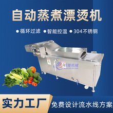 中型杀青漂烫机受热均匀自动蒸煮设备农贸市场野菜清洗漂烫线定做