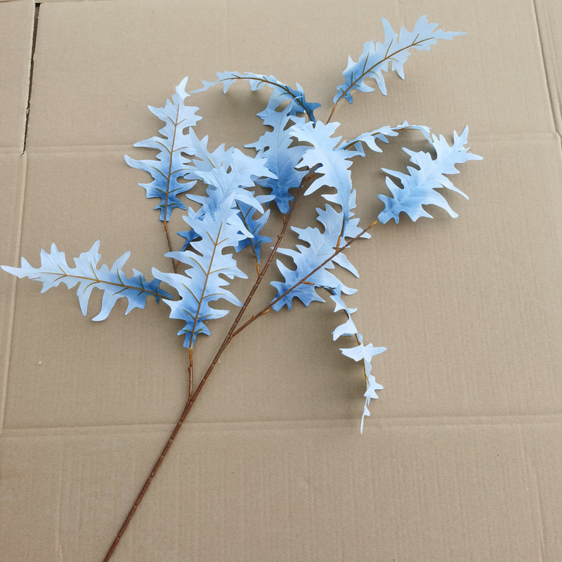 산호 잎