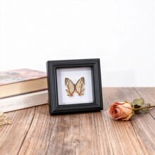�����˱����ľ�|�b��Wʽ�͹Ŕ[���[̨DIY�Ҿ����նY��YƷ