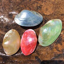 ��Ȼؐ��ؐ����������������ؐ���Gɫ��ɫ��ؐ�Ҿ��b�ˮ���~��