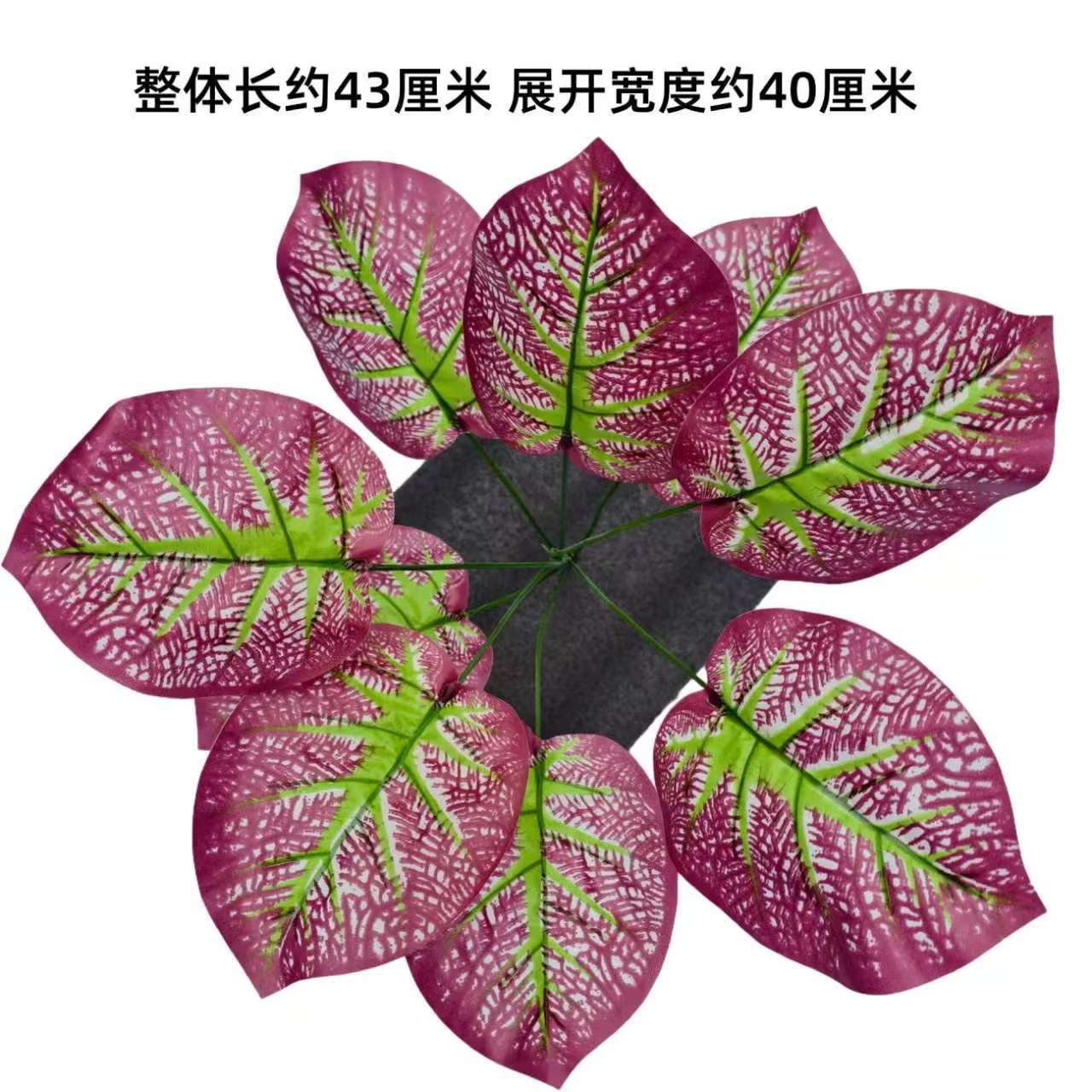 Nine-pronged large plant new model no. 30