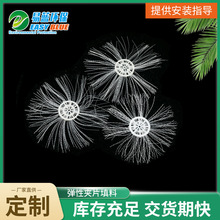 SҹԊAƬ  ppwˮ̎