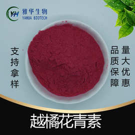 越橘花青素  雅华生物 原花青素 越橘提取物 花色苷 多种规格