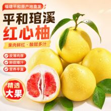 柚子红心福建平和琯溪蜜柚当季新鲜热带水果口感爽脆老树三红柚