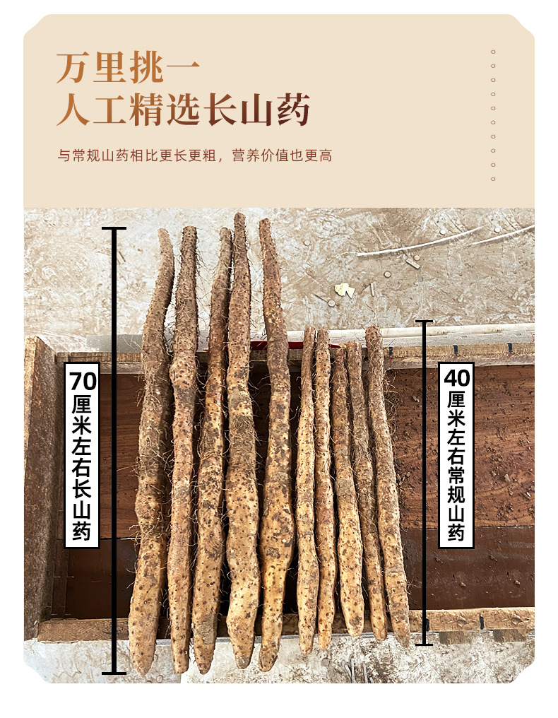 Fresh Chinese Yam Tiegun Shan Yao Wenxian Iron Stick Yam 3kg Gift Box key features