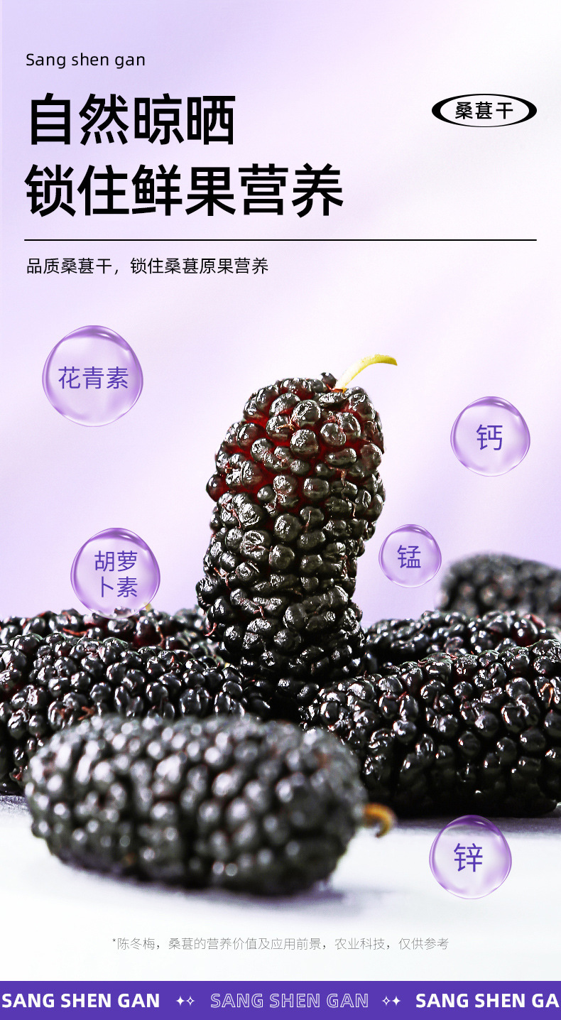 Dried Black Mulberry Fruit 200g Jar Ready to Eat Sang Shen Dried Mulberries for Tea and Snacks in use