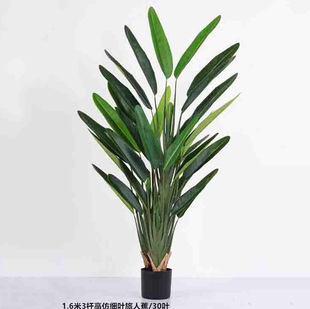 Gֲ˽B~˽ֲ辰[쾰҃ȾGֲ