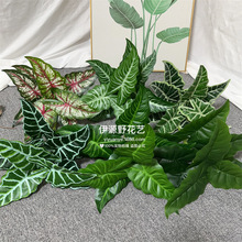 ���W����ֲ�������~�����҃ȿ͏d�쾰�bپGֲ��Ů�~���������~