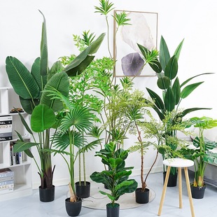 ˽ֲԱWLkҔ[Gֲ҃bGֲɢβ