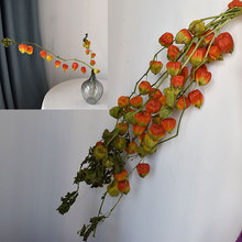 ��Ʒ��{����Ȼ�ɻ����\���ɹ��߶˲廨�b쮋diy���ϾӼһ���