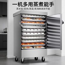 商用蒸饭柜节能蒸饭机电蒸箱液化气蒸饭车电气两用蒸饭柜蒸箱商用