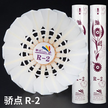 ���l��ë��R2/R-2���c�w�з������ָ��ʹ�12ֻ��ِ����ymq������