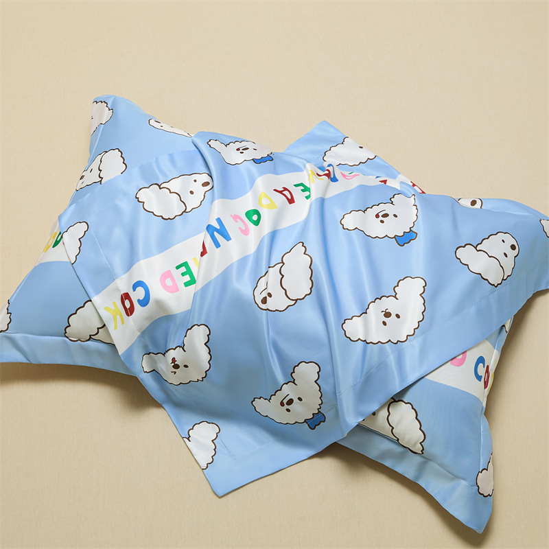 Un par de fundas de almohada de seda de hielo de 48cmx74cm fundas de almohada de seda para el hogar 2025 nuevo juego completo individual premium
