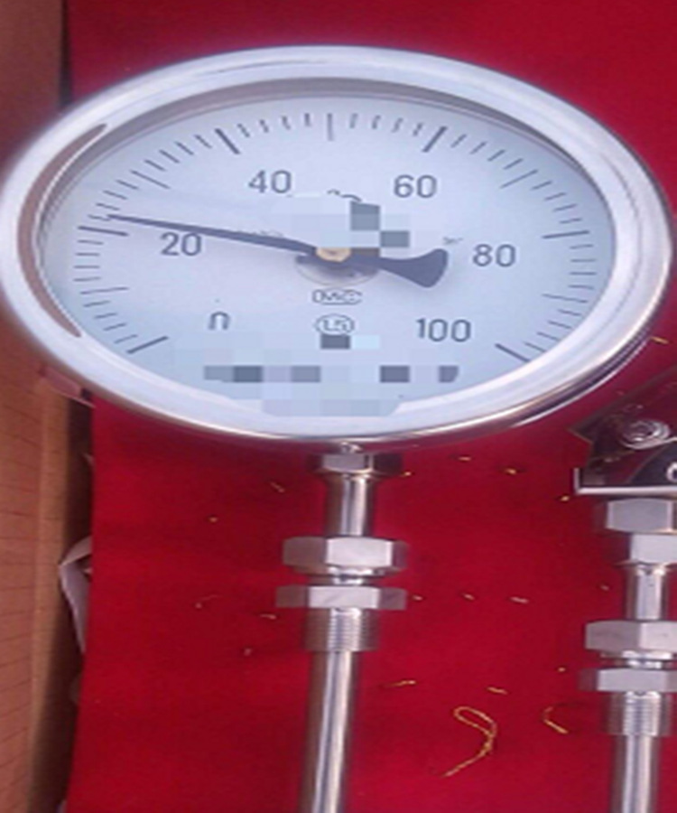 ODESWSS-481双金属温度计