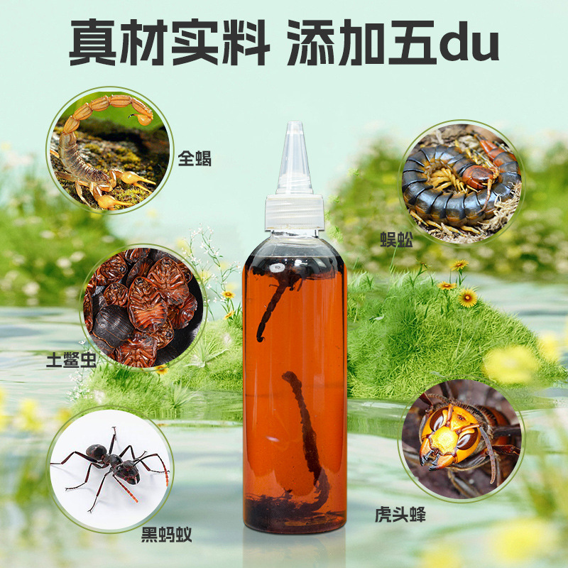 五虫追風透骨液電気商直播代発ブランド首肩足腰追風液原液本草透骨液|undefined