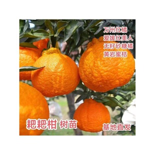 ���ڼ޽ӳ��� �ָ� �ո̽��Ә���o��ɰ�ǽ����Ե����Ϸ������Nֲ