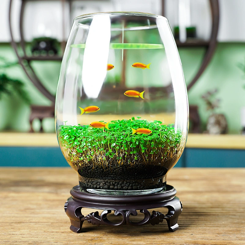 Аквариум для черепахи гостиная Рабочий стол ультра-белый маленький микроландшафт экологическое разведение аквариум для водорослей Творческий аквариум