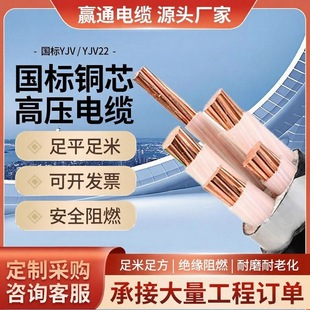 ���~����yjv2 3 4 5о2.5/6/10/16/25ƽ����ȼ�����ľ�늾���|