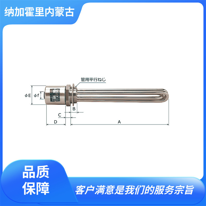 SAKAGUCHI 坂口电热 插塞式加热器 HP1