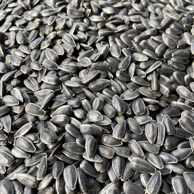 Black Pearl Sunflower Seeds/Sesame Seeds/Oil Sunflower Seeds Bird Food Hamster Snacks Bird Feed/Pigeon Feed 500g