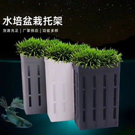 清洁球/刷;沥水篮、盆;衣钩/挂钩