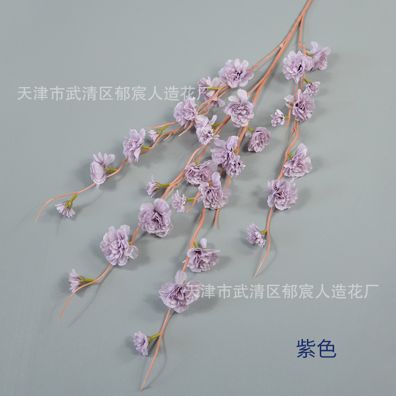 보라색