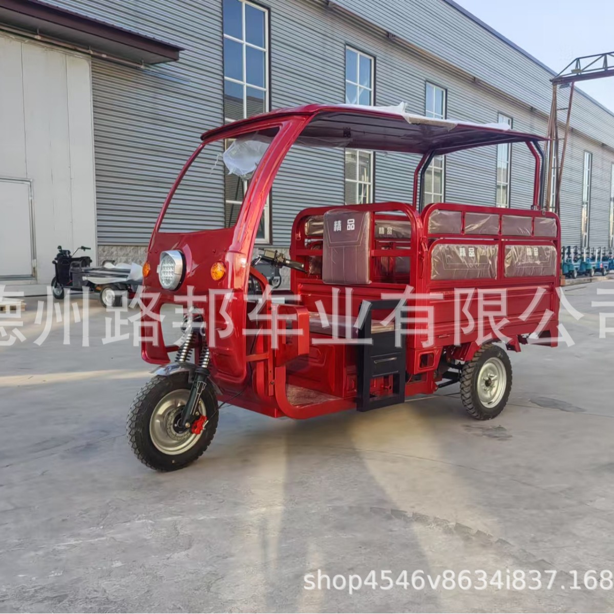 Vehículo eléctrico triciclo doméstico triciclo eléctrico triciclo triciclo eléctrico trampoline triciclo eléctrico mayorista