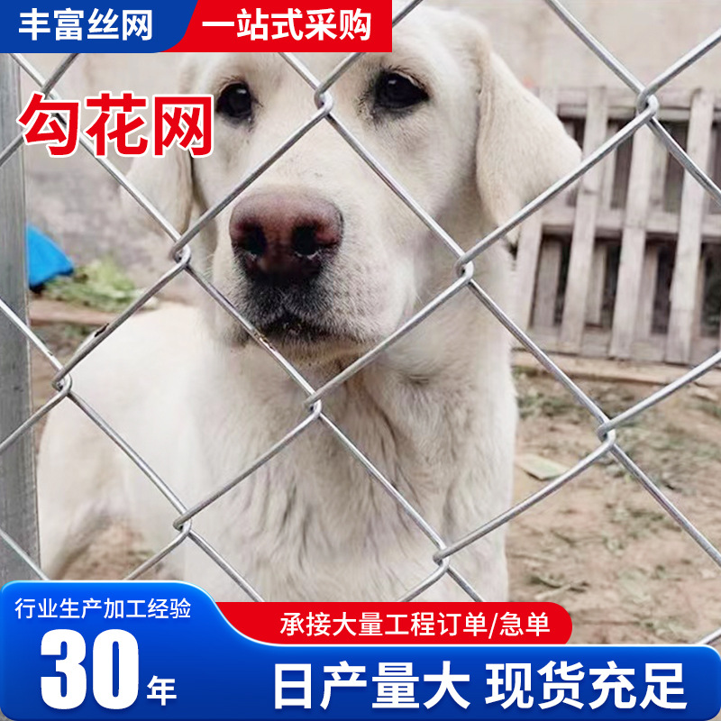 镀锌勾花网铁丝围栏网 圈地养殖拧编勾花网 菱形编织网养殖网