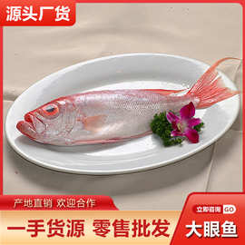深海大眼鱼批发 大眼鸡 红目鳞海捕红目鲷鱼红石斑鱼4斤包邮