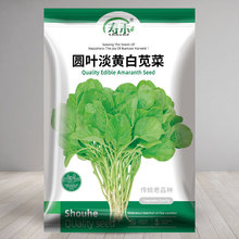 �A�~���S���{�˷N�Ӱ��ѷN�ļ�����Ʒ�N�߲˷N�Ѳ��Ѳ˷N��ȫ�ļ�