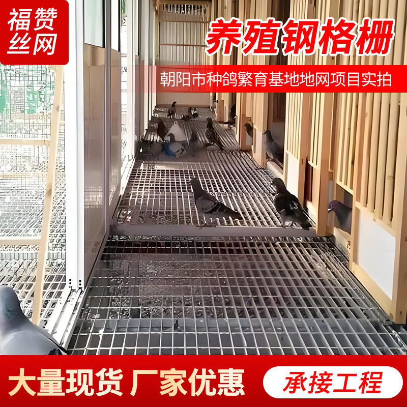 鸽舍底网钢格板漏水漏粪鸟舍钢格栅公棚铺地铁网笼子厂家防滑