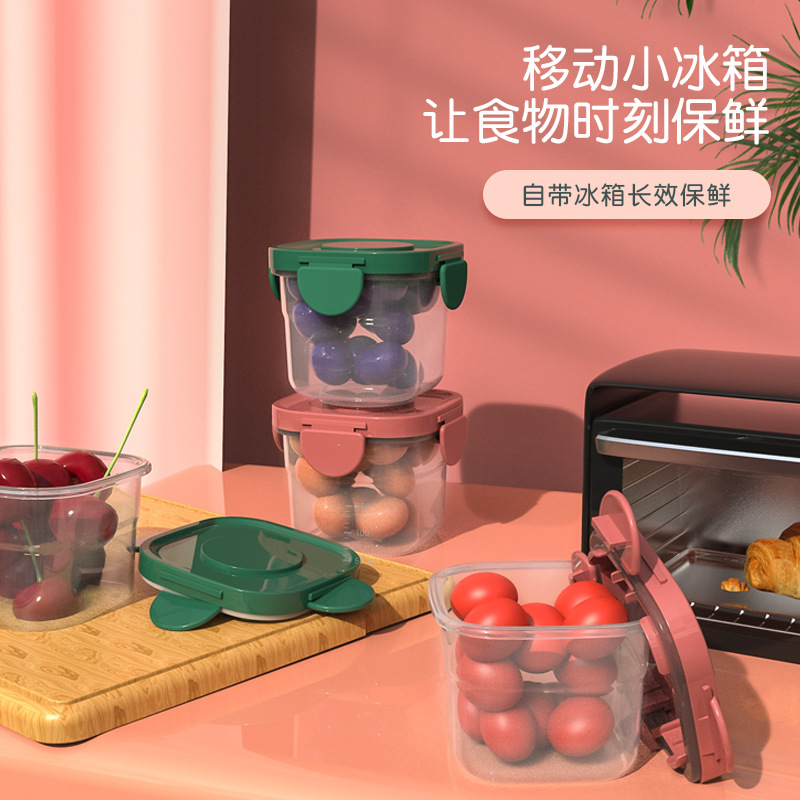 Going out fresh-keeping box is small and easy to carry with ice box fruit box supplementary food box food grade material sealed box