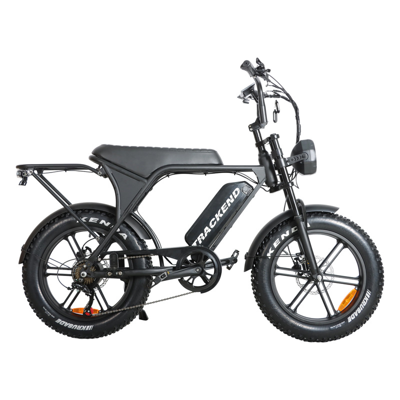 20inch Wide-Tire Electric Bicycle for Adults, Off-Road Road Bike with Disc Brakes, Lithium Battery, Power-Assisted Cycling, Snow Electric Bike 20inch Wide-Tire Electric Bicycle for Adults, Off-Road Road Bike with Disc Brakes, Lithium Battery, Power-Assisted Cycling, Snow Electric Bike