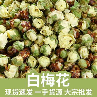 ��Ʒ�G��÷��÷����؛�G÷���Sɽ�a��ֱ�lɢ�b�G��÷��������