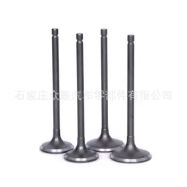 气门及部件;气门部件;油封