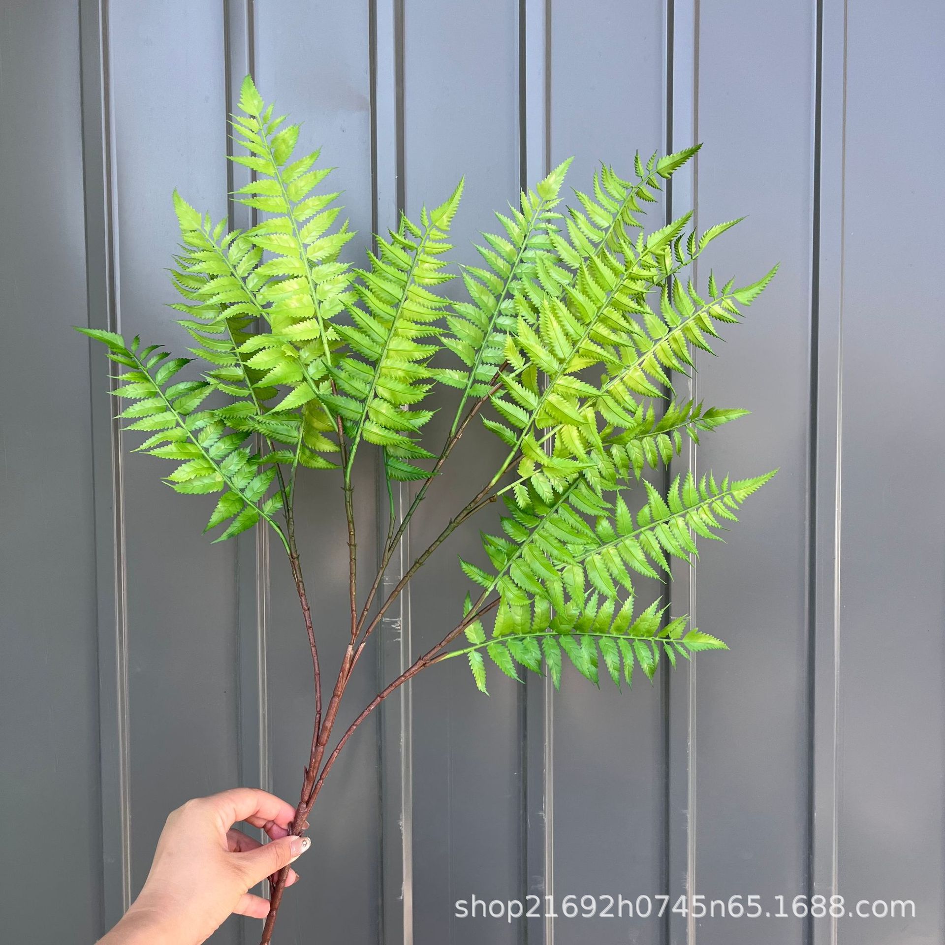 Boda Mori Simulación de flores y plantas verdes Pico de bambú Hierba Simulación de plantas verdes de invierno espárragos Plantas de simulación Escenografía de plantas verdes falsas