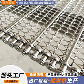 输送机;网带;传动链