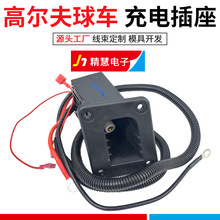 73063-G01 73063G01 EZGOTXTMedalist DCS/PDS高尔夫球车36V线束