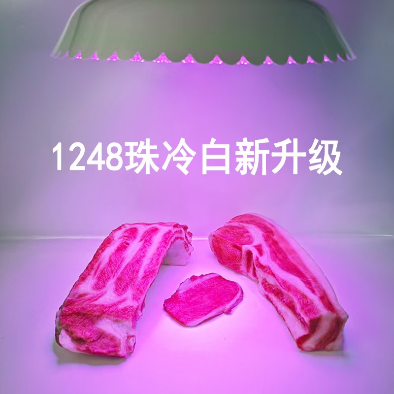 (차가운 흰색의 새로운 업그레이드) 1248개의 램프 비드, 100와트 업그레이드 및 빨간색