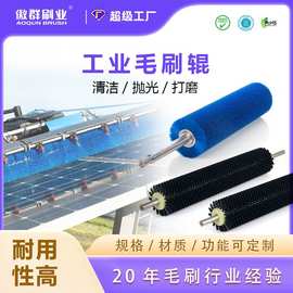 定制带轴外绕尼龙工业毛刷辊 机械清洗机弹簧刷毛刷辊厂家
