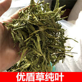 忧遁草 干叶 鳄嘴花忧盾草 优遁草中药材 黎王草