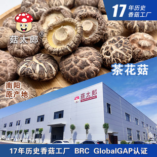 �㹽��؛�軨���ɶ������r���خa����Ģ���������ڻ��؂䰸