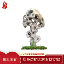 太湖石灵璧石摆件天然原石大型庭院灵壁石昆石龟纹石观赏石风景石
