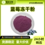 固体冻干蓝莓花青素蓝莓粉
