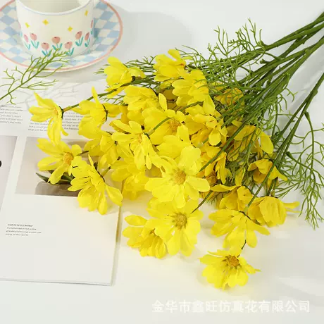 Yellow daisy