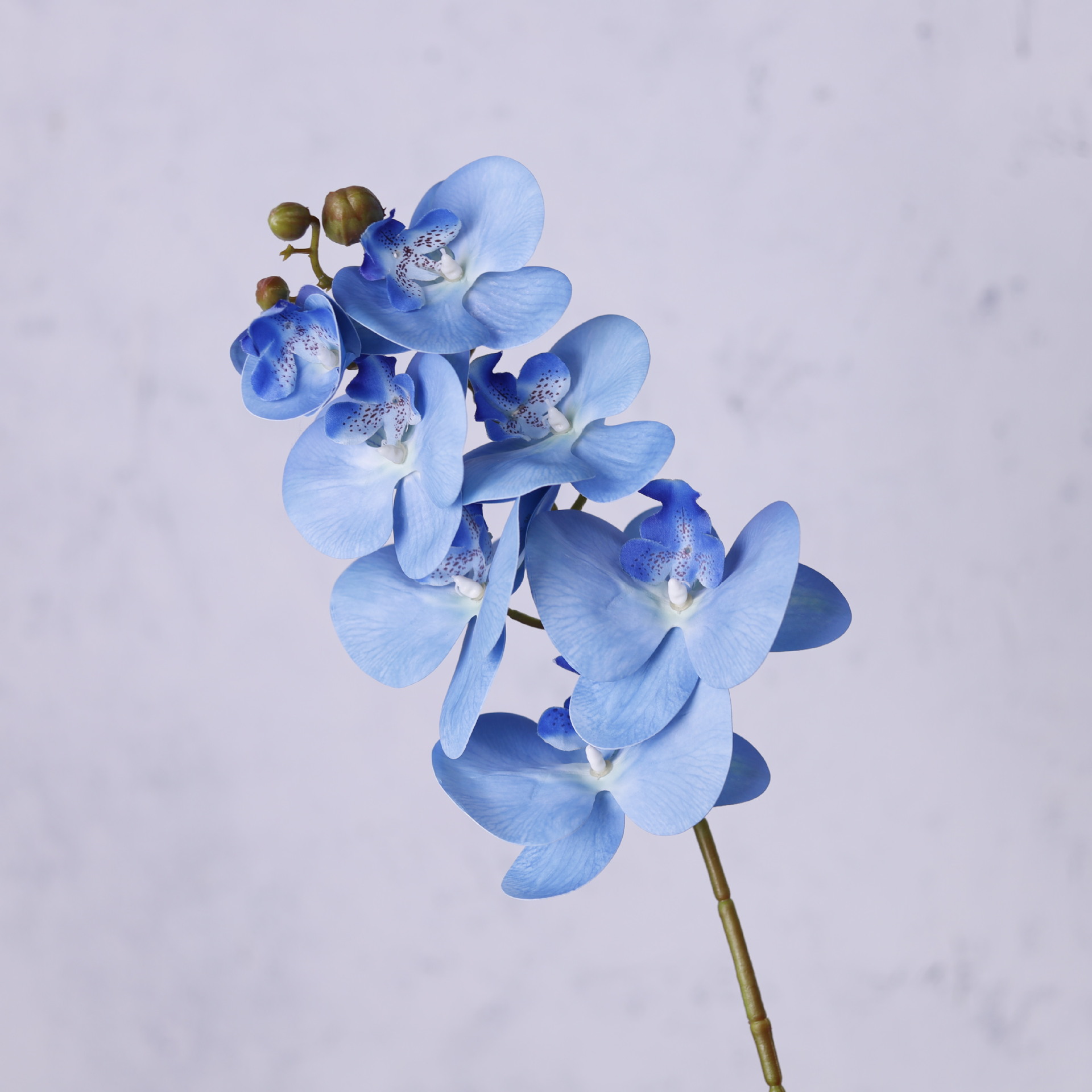 Impresión 3D de 7 cabezas de orquídeas mariposa flor de decoración de flores de alto nivel flor de nicho decoración floral decoración de sala de estar