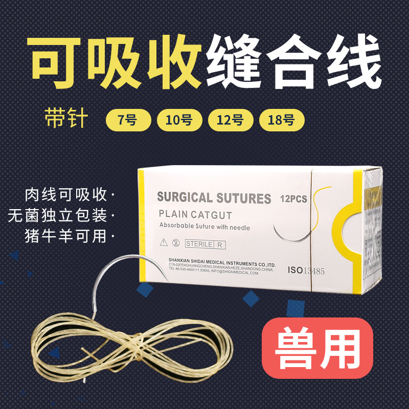 兽用可吸收缝合线外科手术宠物猪牛蛋白线羊肠线埋线可吸收性肉线